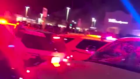 protest against deportations Glendale AZ 2/2/25 damaging police cars