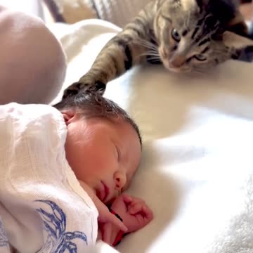 Baby and cat is happy