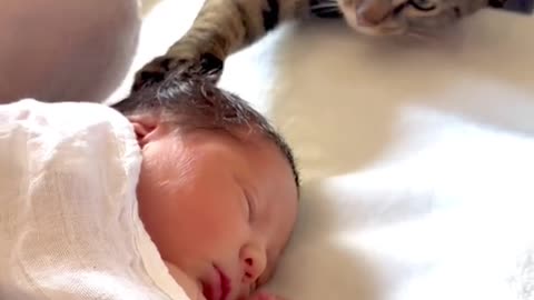 Baby and cat is happy