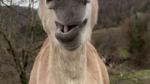 😆😁