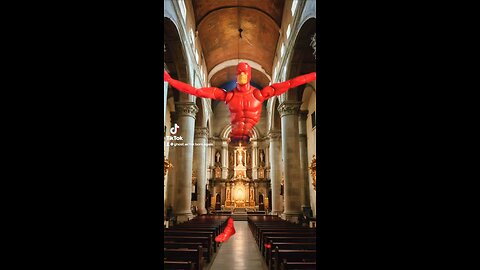 Today Is the Feast of the Immaculate Conception