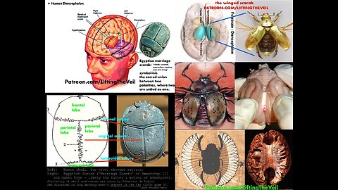 Holy Grail Hyperboloid & Esoteric Anatomy- Symbols of Power, Lifting The Veil Cullen Smith