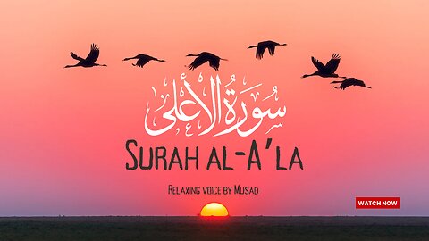 Surah Al-A’la |Beautiful Recitation of Holy Quran |Relaxing Voice by Musad #islamicvideo #holyquran