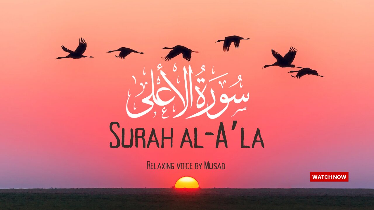 Surah Al-A’la |Beautiful Recitation of Holy Quran |Relaxing Voice by Musad #islamicvideo #holyquran