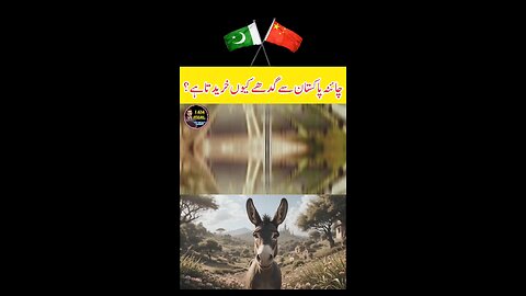 Why Pakistan Export Donkies To China