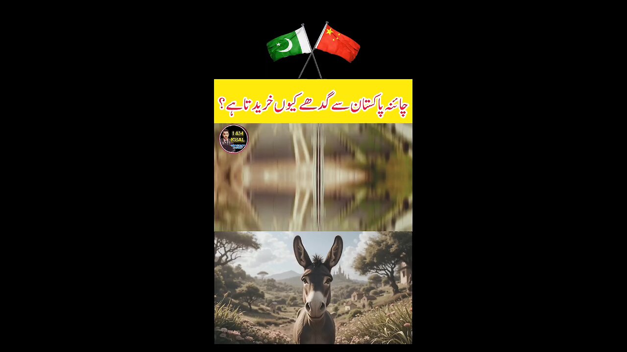 Why Pakistan Export Donkies To China