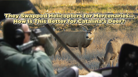 “They Swapped Helicopters for Mercenaries… How Is This Better for Catalina’s Deer?