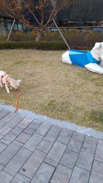 20251115. God is love.