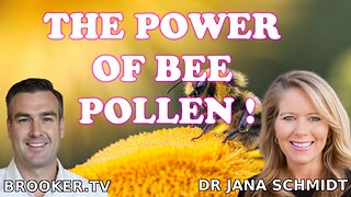 The Secret Power of Bees: Boosting Fertility, Fitness, and Fighting Hayfever