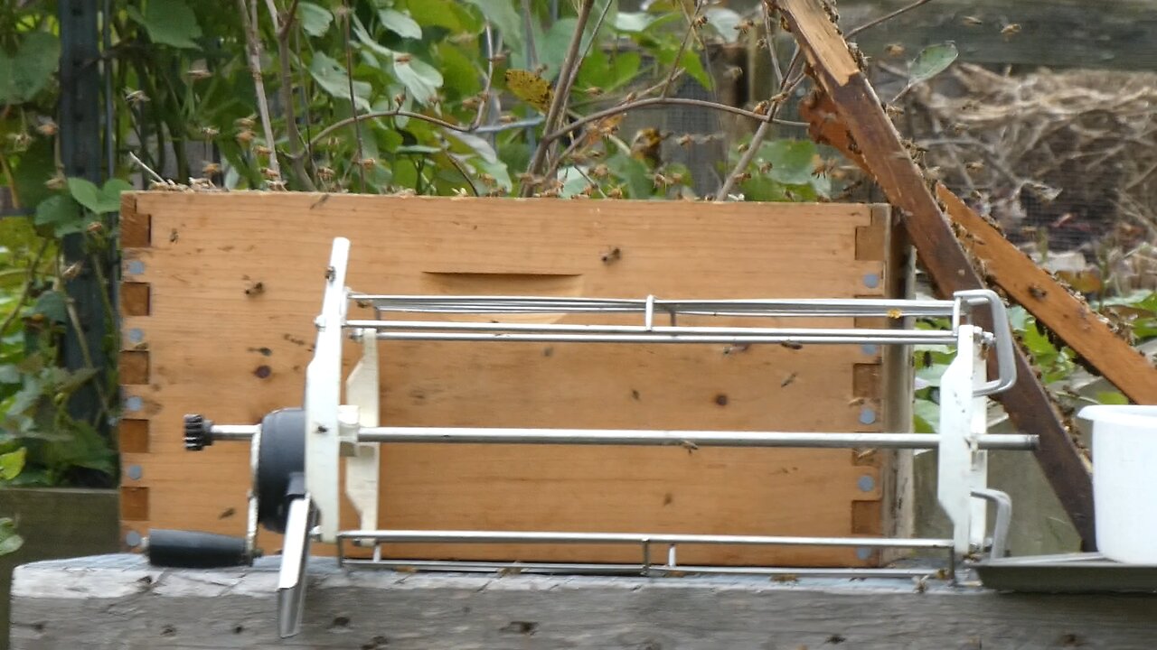 Honey Extraction The Aftermath