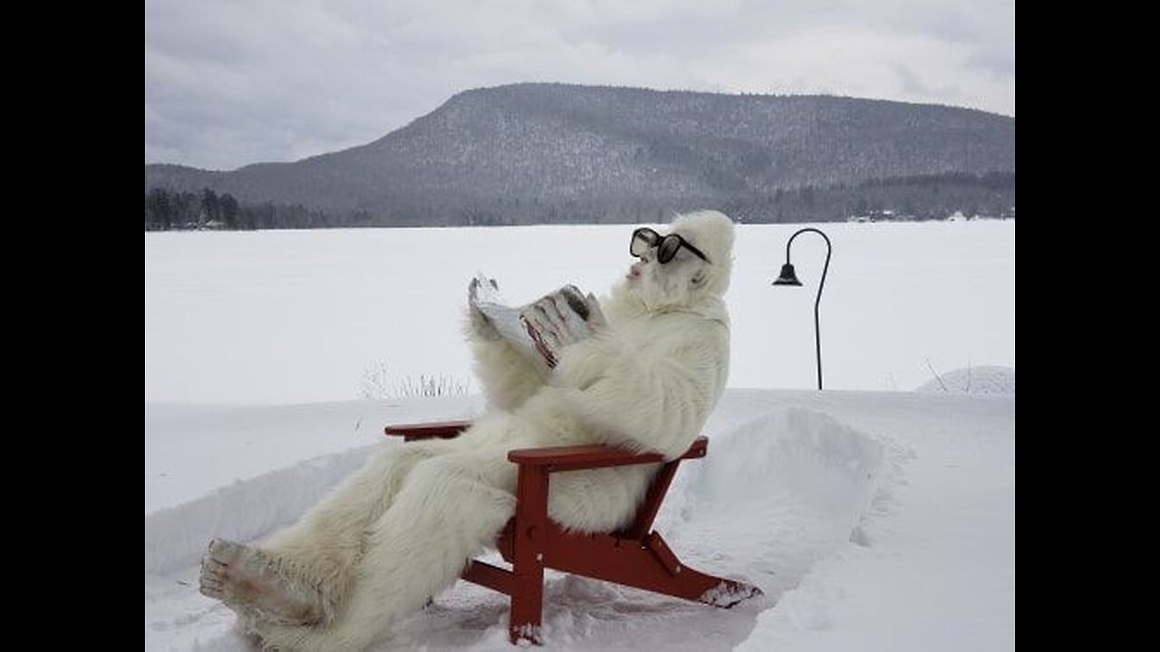 Adi the Adirondack Yeti of Speculator (song)