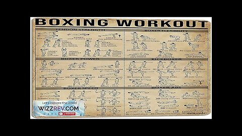 PAIION Boxing Knowledge Metal Signs Boxing Workout Exercise Guide Poster Martial Arts Review