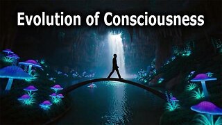 Evolution of Consciousness - ROBERT SEPEHR