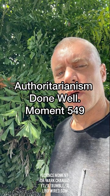 Authoritarianism Done Well. Moment 549