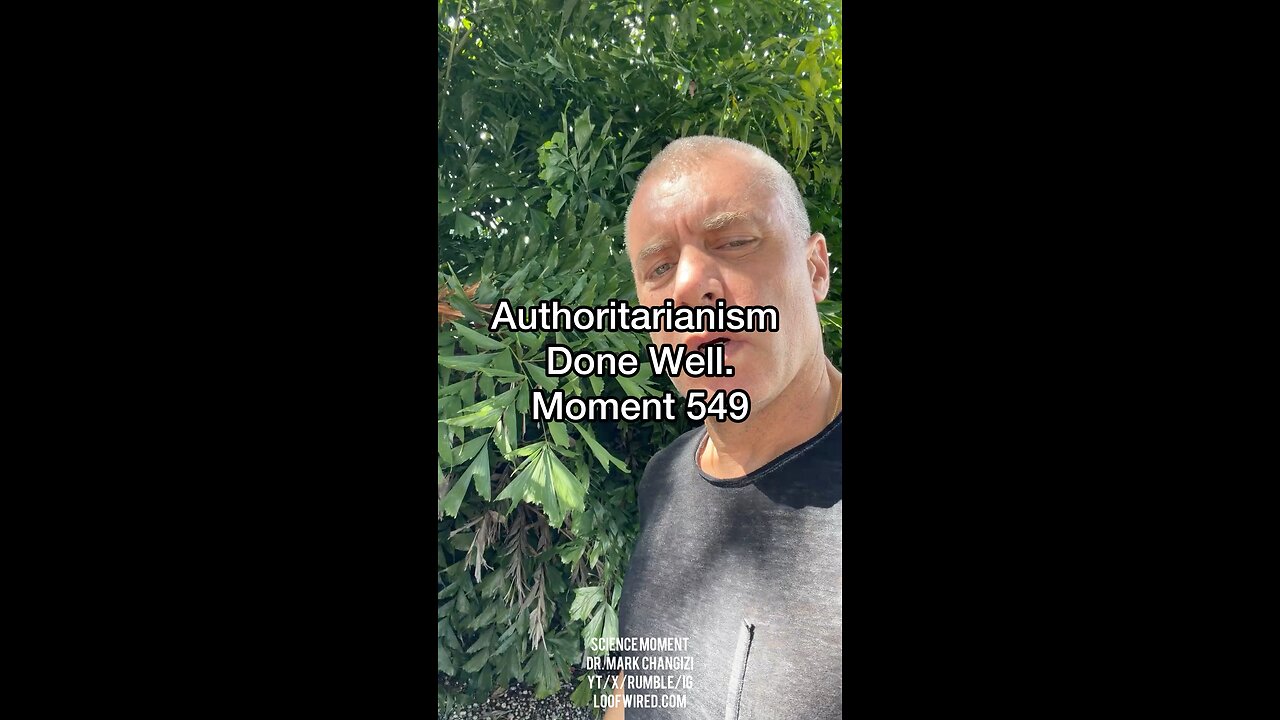 Authoritarianism Done Well. Moment 549