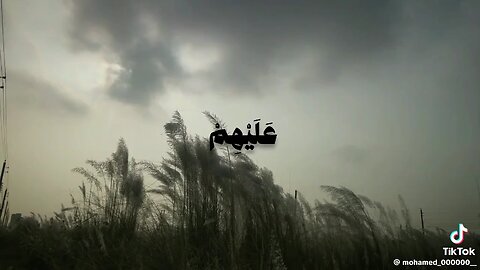 quran recitation