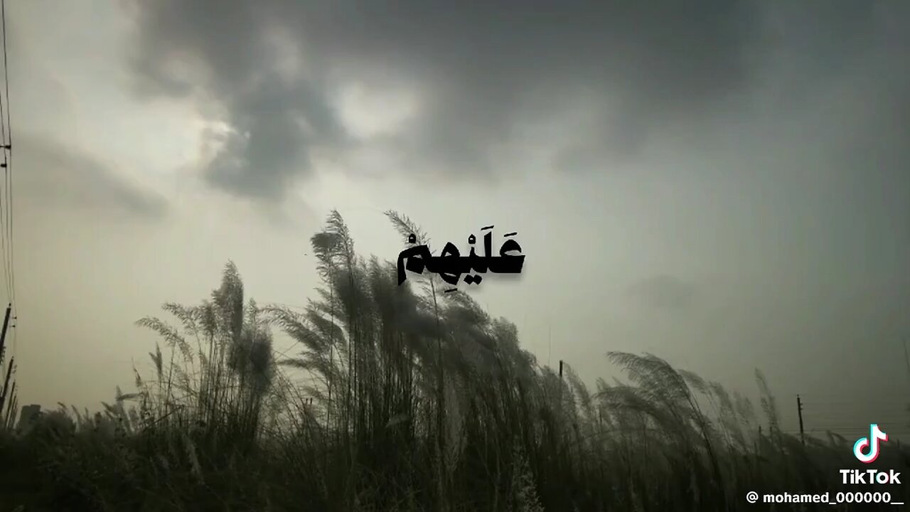 quran recitation