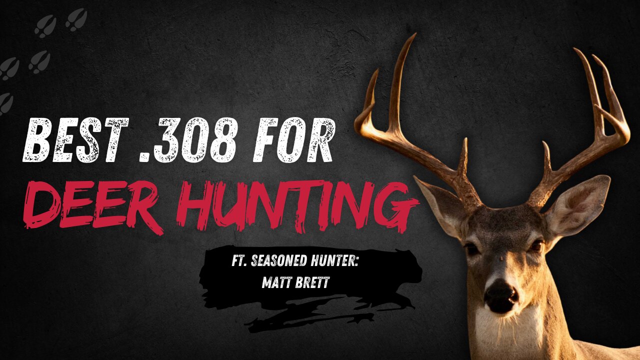 Best 308 Round for Deer Hunting