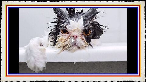 CAMPBELLS SOUP CAUGHT USING 3D PRINTED MEAT - BARFFFF