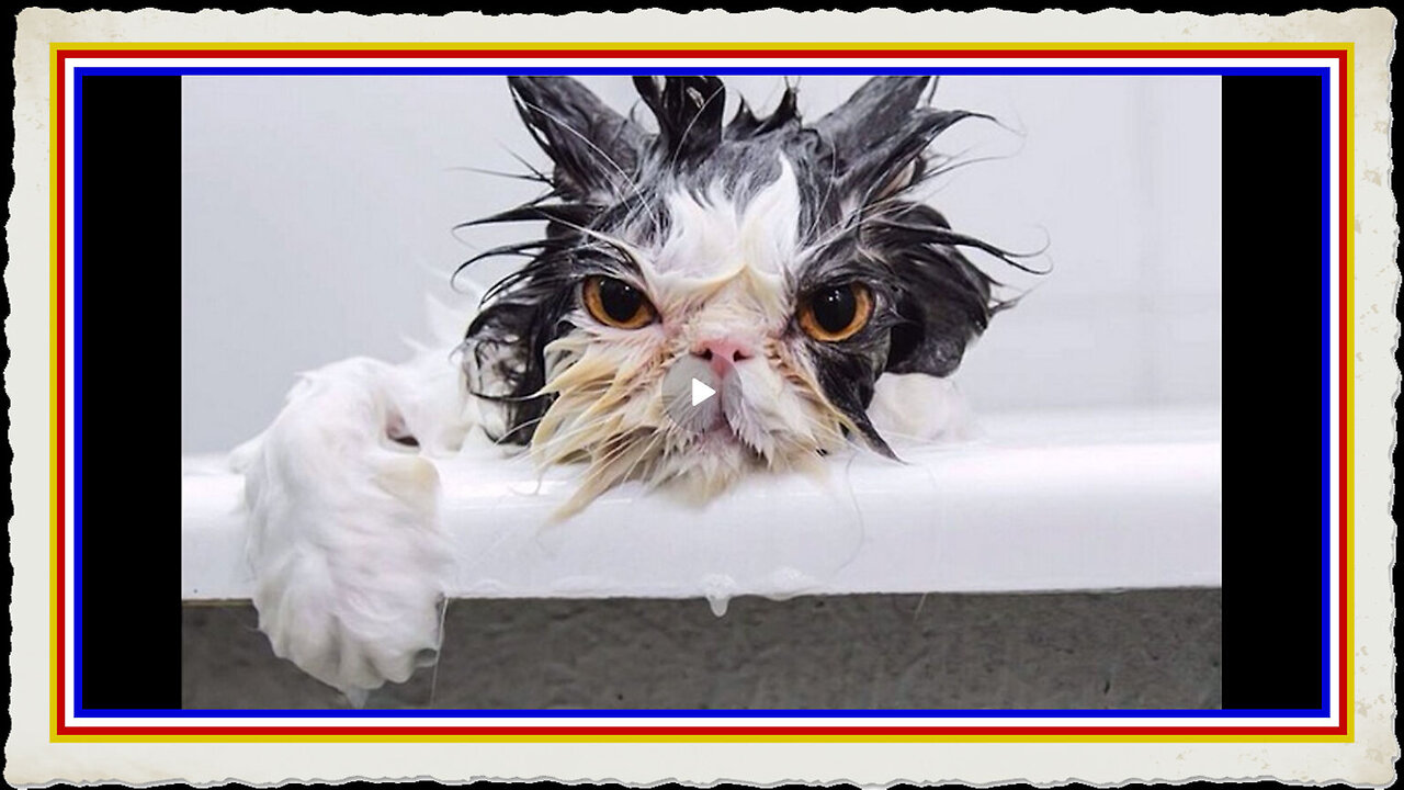 CAMPBELLS SOUP CAUGHT USING 3D PRINTED MEAT - BARFFFF