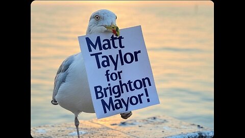 Matthew Taylor Maverick Politician. Brighton Mayor.