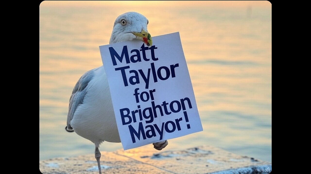 Matthew Taylor Maverick Politician. Brighton Mayor.