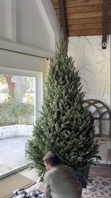 Our Christmas tree is up!