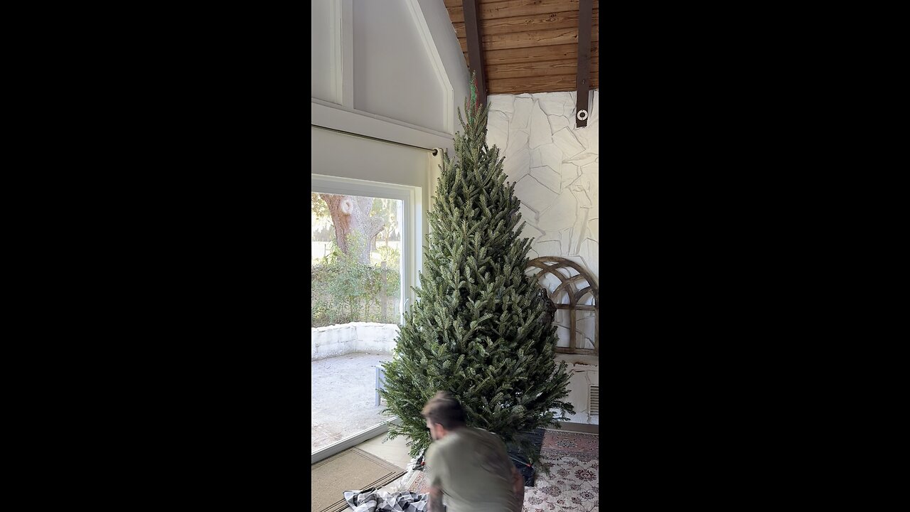 Our Christmas tree is up!