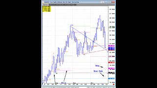 Oct24 Fri commodities fast markets