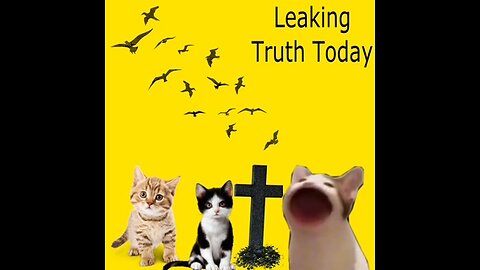 2-24-2025 What truth we can leak today?