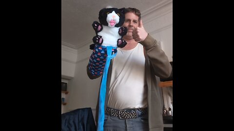 The best cat fighting puppet