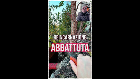 FRA STEFANO – UN MINUTO PER ABBATTERE LA REINCARNAZIONE: “UNA STORIELLA CUI PURTROPPO CREDONO ANCHE NON POCHI CATTOLICI, PRIVI DI SOLIDE RADICI E LONTANI DALL'INSEGNAMENTO BIMILLENARIO DELLA CHIESA!!”