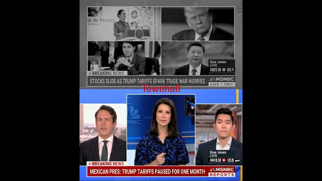 MSNBC's Ana Cabrera Railing Against Trump's Tariffs… Then Has To Eat Her Words As Narrative Crumbled