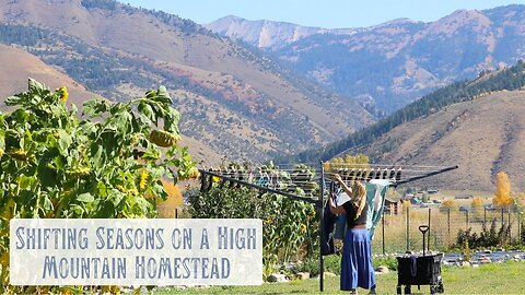 Autumn's Embrace - Shifting Seasons on a High Mountain Homestead, Bees, Fading Flowers & Harvests
