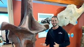 Big back dinosaur Bible lesson
