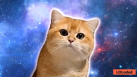 Galactic Feline Groove: Singing Cats Techno Jam! 😹🎉🐱 Funny Dancing Cat Video #CatRemix