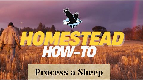 NEW SERIES - Azure's Homestead How-To | Ep. 1 | How to Process a Sheep