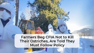 Clip #5: Farmers Beg the CFIA Not to Kill Their Animals, Are Told They Must Follow Policy