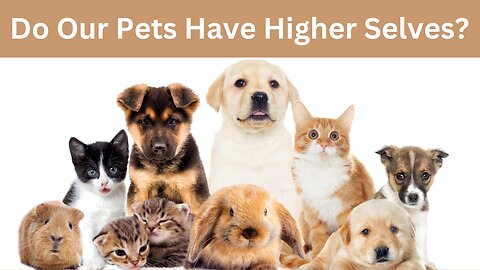 Hypnosis Story: Do our pets have Higher Selves?