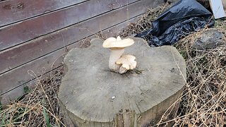 Evil People Won't Stop