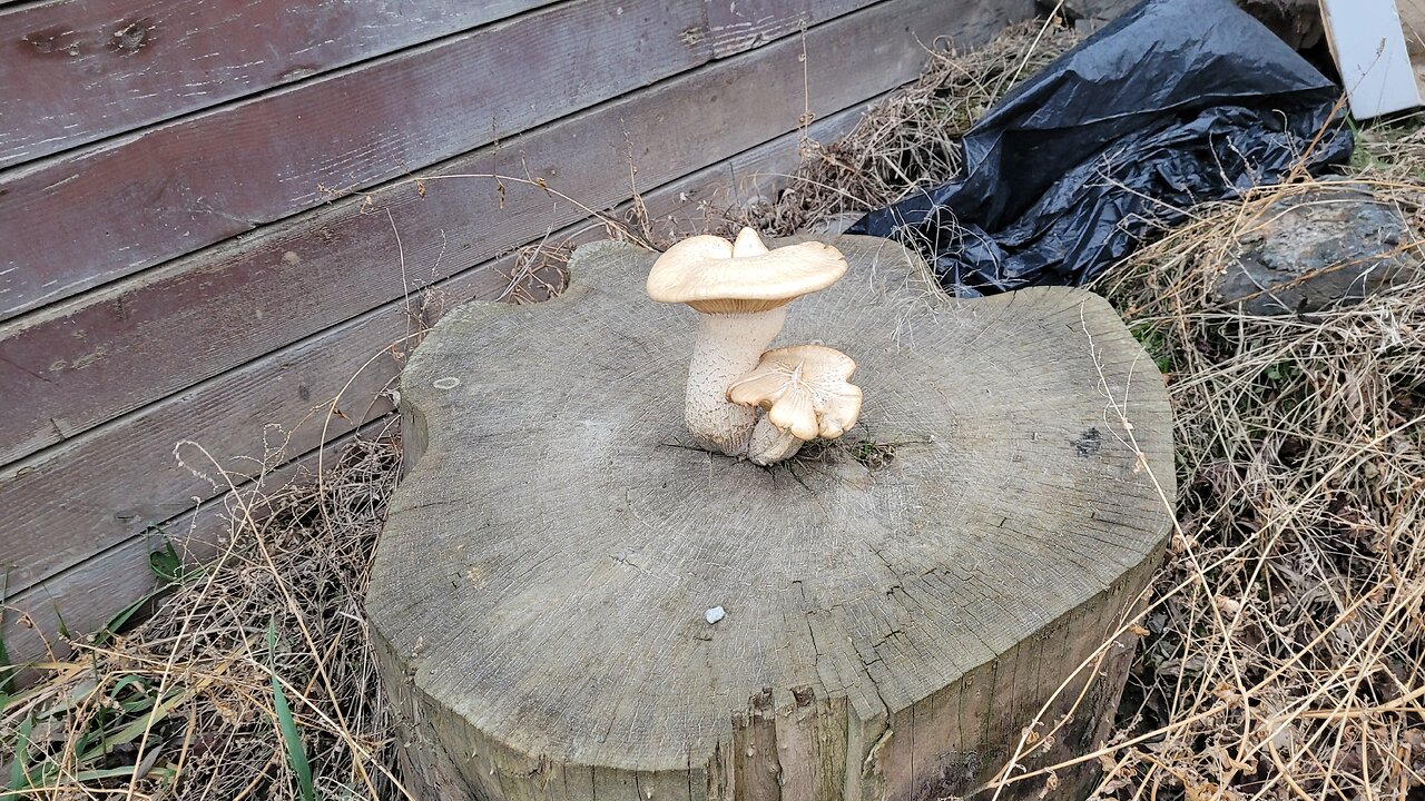 Evil People Won't Stop