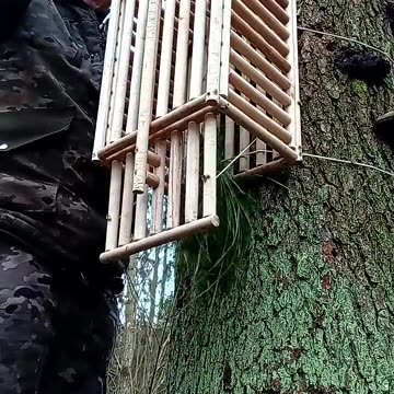 IT'S A GOOD TRAP #survival #hunting #nature