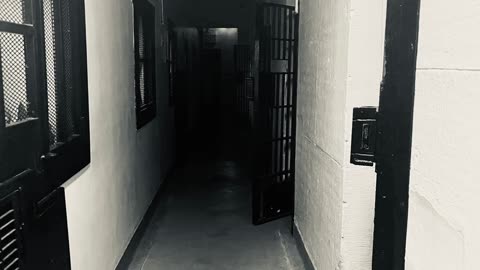 👻📚 A Haunting History and a Nauseating Feeling, What's the Dark Side? | TheHauntingHour
