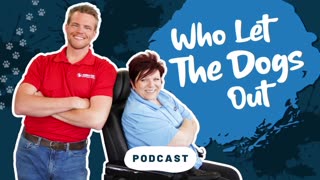 How to Set Goals for Your Dog & Have a Great 2026 🐶 — Dog Talk Ep. 088