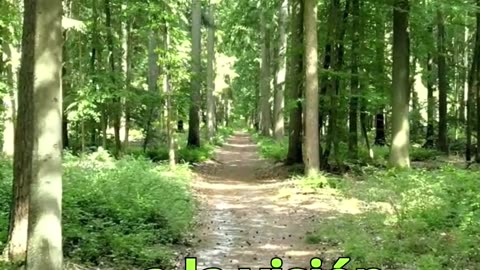 😊 156 LA VISIÓN ATRAE PROVISIÓN Nehemías 2:20 😊