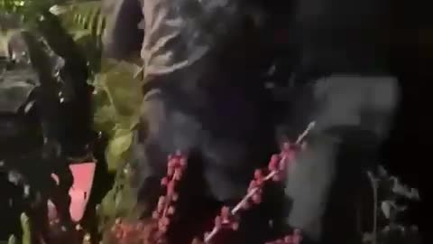 Rrahje barbare për një koment në TikTok, Aroni dhe Fire porositën sulmin, në pranga ekzekutori