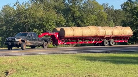 It's the Happiest Time of the Year!!!!