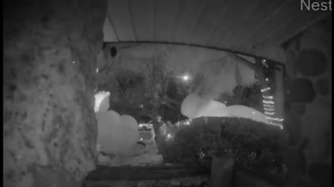 Vandals Destroy Christmas Display