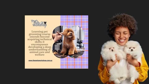 Doing a pet grooming course in Singapore is an enriching journey that opens doors