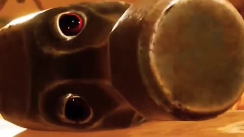 A Talking Hammer? 😱 Can They Trust It? 🔨 May's Silence Speaks Volumes! 🤐 Mystery Unfolds!